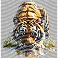 Animal Integration-DW 1807